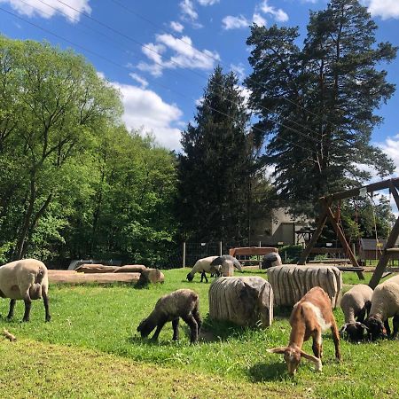 Kamenacka Myslivna Otel Moravany  Dış mekan fotoğraf