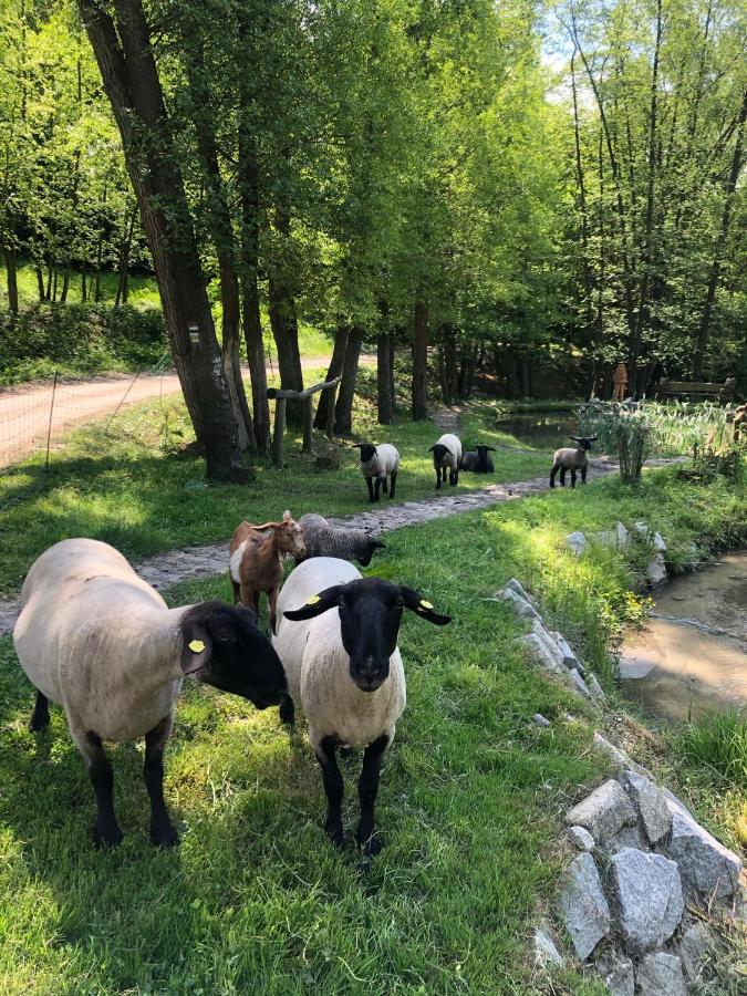 Kamenacka Myslivna Otel Moravany  Dış mekan fotoğraf