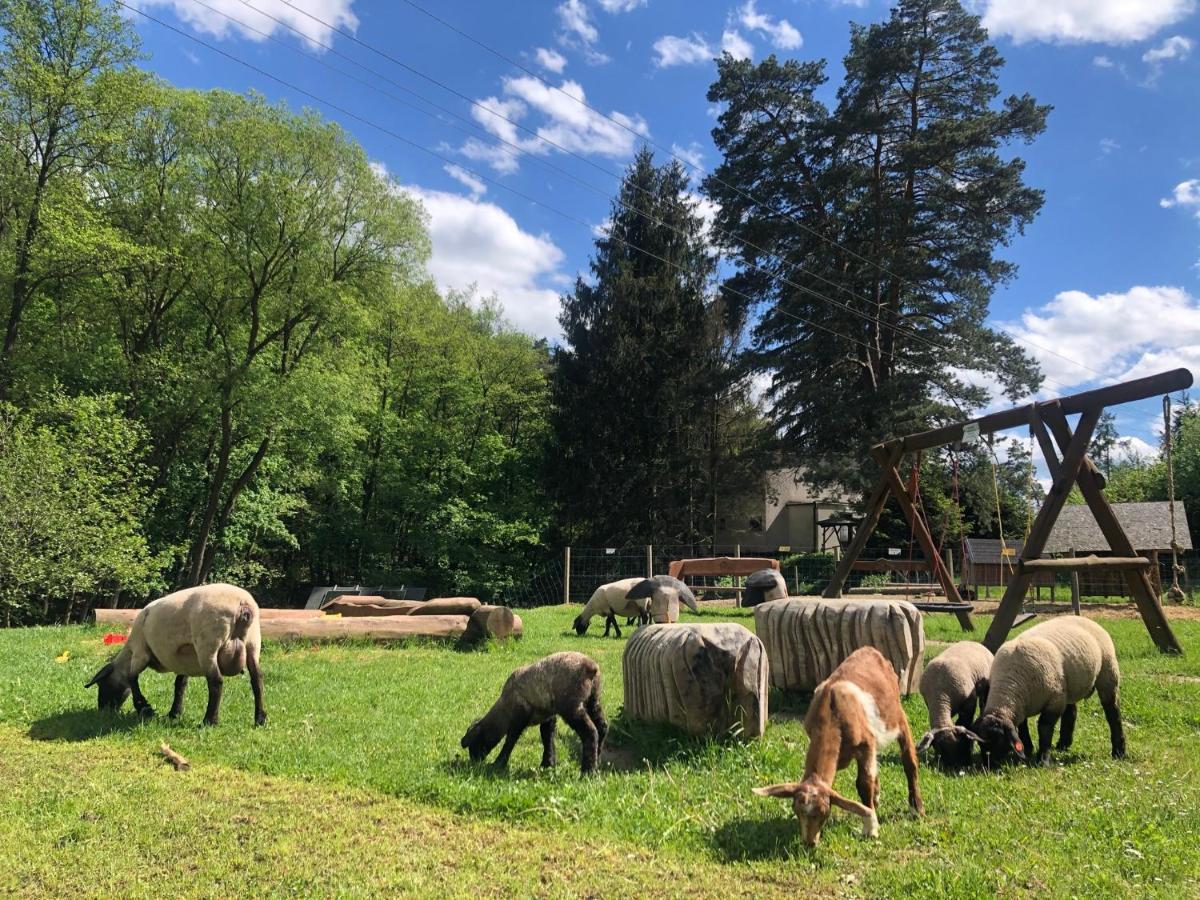Kamenacka Myslivna Otel Moravany  Dış mekan fotoğraf